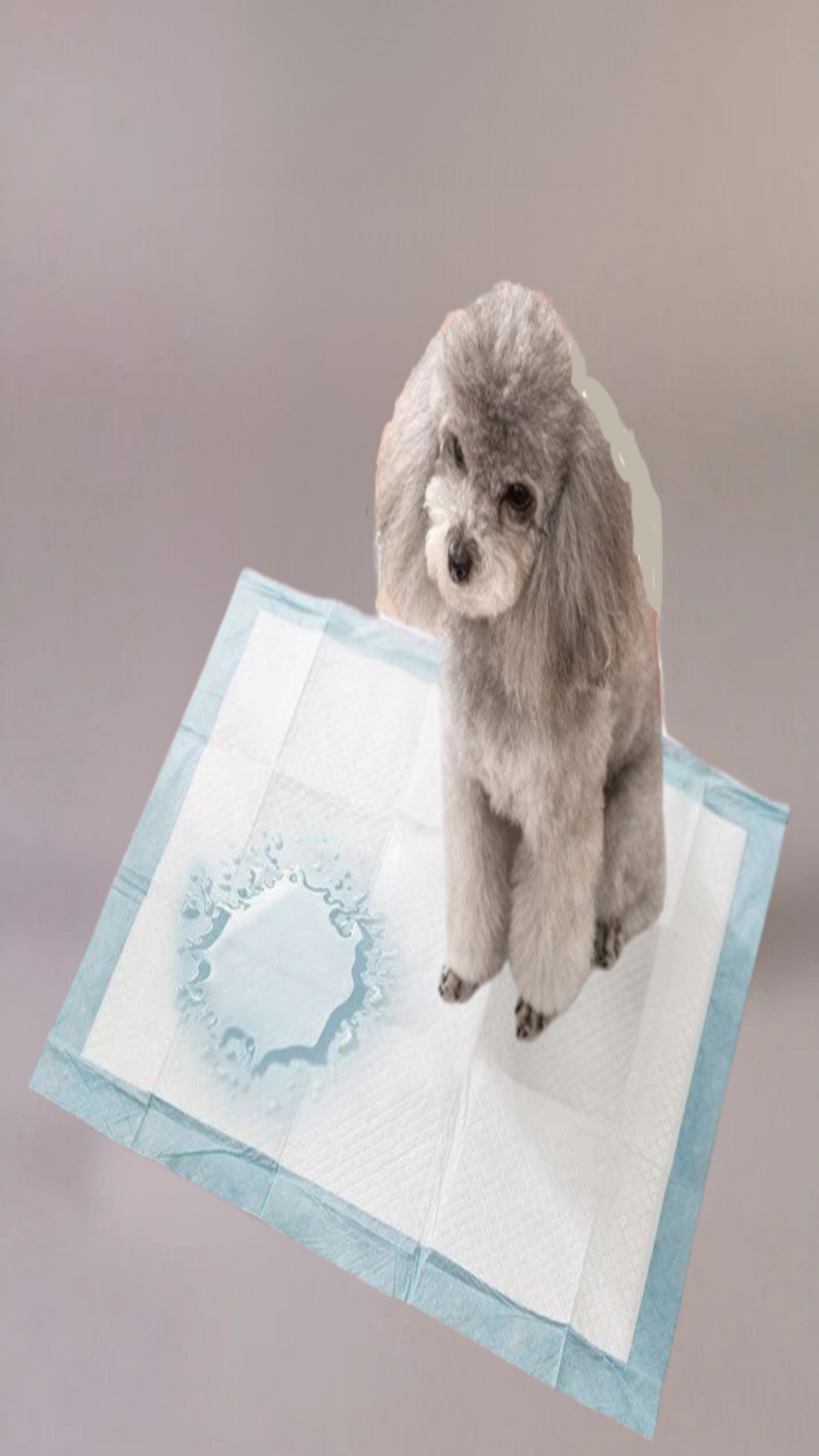 Toilet Training Puppy Pads - Canine Boutique