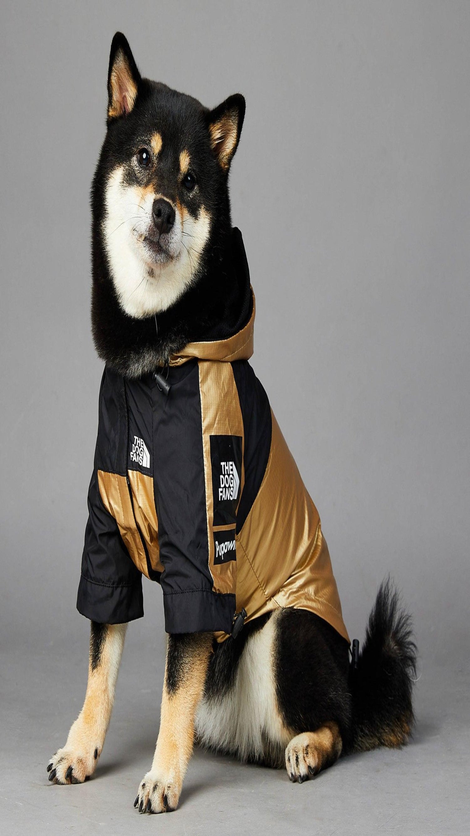 "The Dog Fans" Water Resistant Coat - Canine Boutique